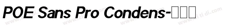 POE Sans Pro Condens字体转换